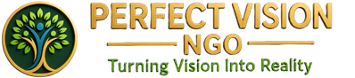 Perfect Vision (NGO)